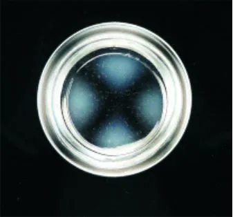 Hand-operated Quantative Polariscope Measuring Glass Temper Grade photo-3