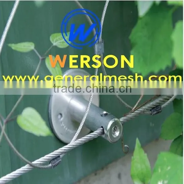 Stainless Steel Webnet Trellis for Balustrade, Green Walls | Generalmesh photo-4