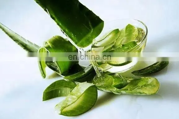 Aloe Vera Peeling Machine/aloe Vera Peeler Machine photo-5