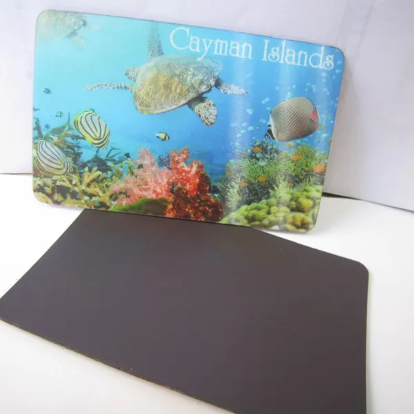 Souvenir Promotional Gifts 3D Lenticular Fridge Magnet photo-5