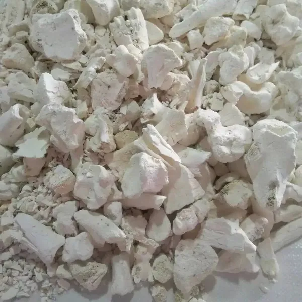 Calcined Bone Ash for Bone China With GoodPrice photo-3