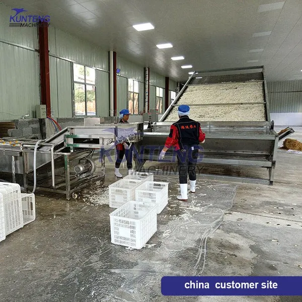 Automatic Root Vegetable Dryer Taro Konjac Cassava Drying Machine Dried Cassava Chips Processing Plant EPC photo-2