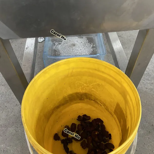 GYCH Small 500kg Longan Lychee Litchi Peeling Juicer Machine photo-6