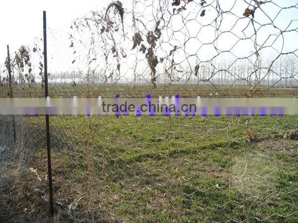 Hexagonal Wire Netting