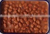 Canned Broad Beans