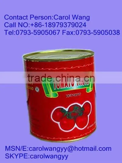 3000gm Tomato Paste in Tin