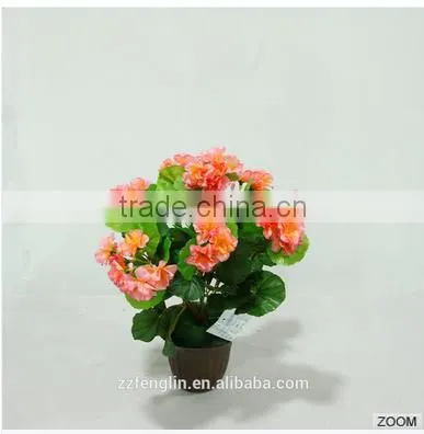 Cheap Wholesale Artificial Silk Begonia Flower Bouquet For Home Decoration photo-3