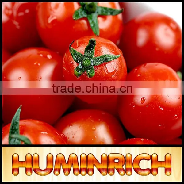 Huminrich Shenyang Humate 100% Water Soluble Fertilizer Potassium Humate photo-2