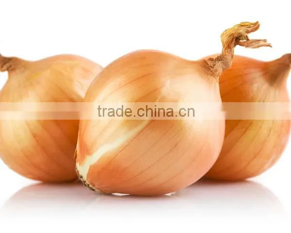 Fresh Onion in Bulk