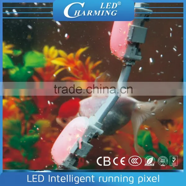 2015 Popular Hotel Exterior Decoration Rgb Led Christmas Light photo-4
