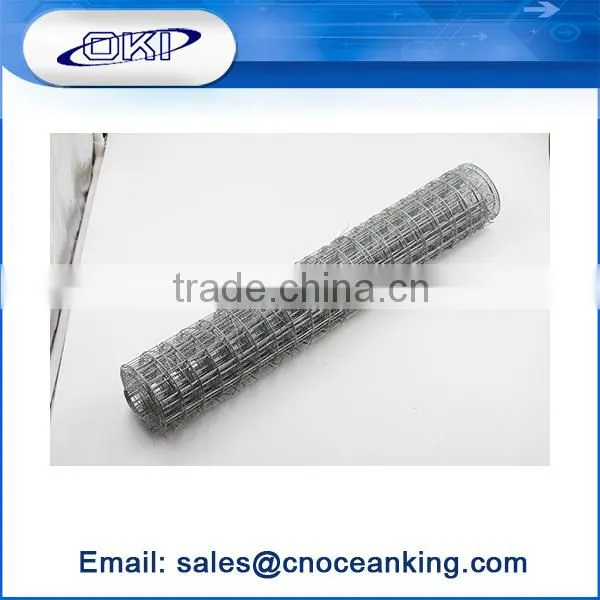 China Market Welded Wire Mesh Fence