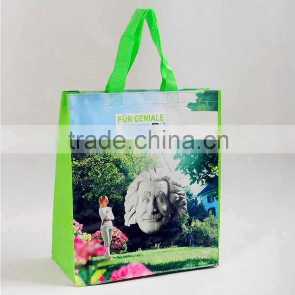 Wenzhou High Quality pp Woven Mini Tote Bag, Food Delivery Bags,beautiful Document Bag photo-2