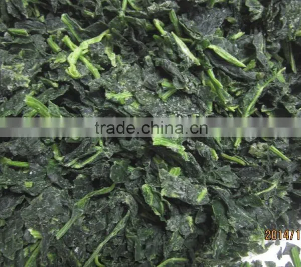 IQF Chopped Spinach Cuts photo-2