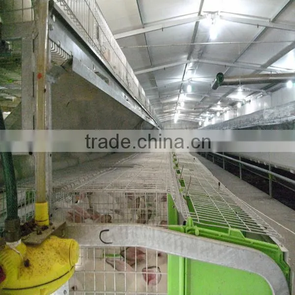 Automatic Rabbit Equipment photo-3