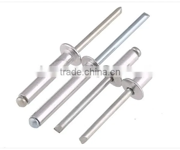 Rivet/blind Rivet/stainless Steel Blind Rivet