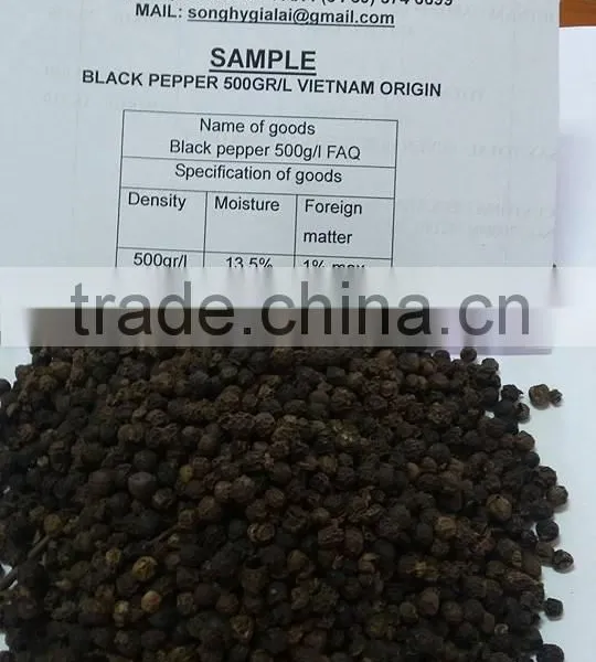 VIETNAM BLACK PEPPER BEST PRICE photo-2