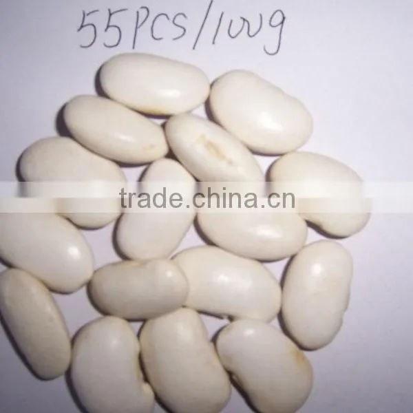 2014 Different Varieties of White Kidney Beans From China With Cheap Price photo-2