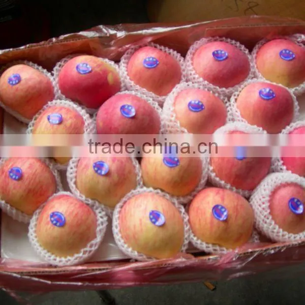 Carton Box for Pineapple/Apples/Mangos