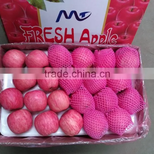 Pome Type Product Variety Fuji and Fresh Fruit Apple Fruit