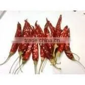 Chillies Sanam M/B Withstem photo-3