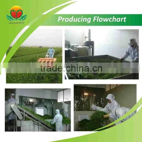 Manufacturer Supply Oat Grass Juice Powder photo-4