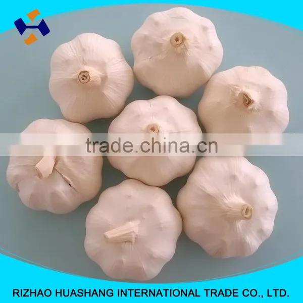 High Quality White Fresh Garlic, Size5.5cm photo-5