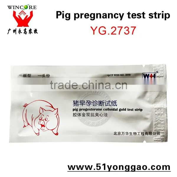 Pig Pregnancy Test Trip Sows Pregnancy Test Paper Check Pregnant Paper for Sows