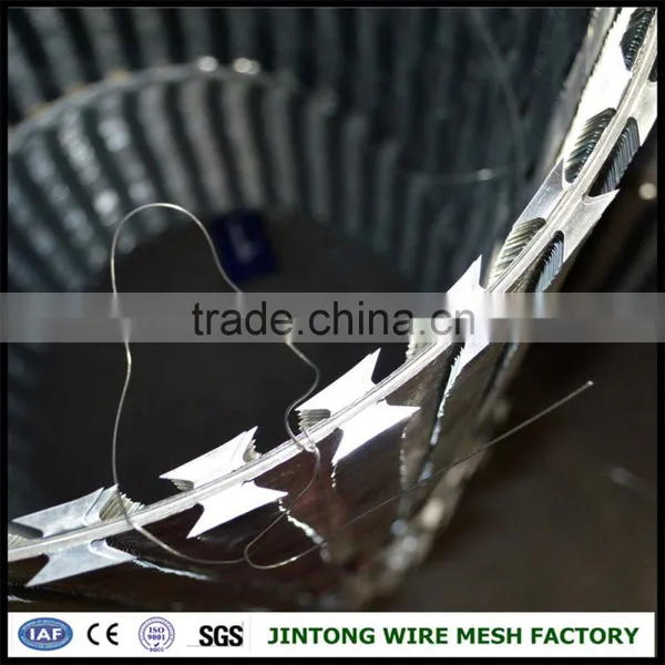 Stainless Steel 304 Material Barbed Wire Razor Wire Fencing Price for Prison photo-2