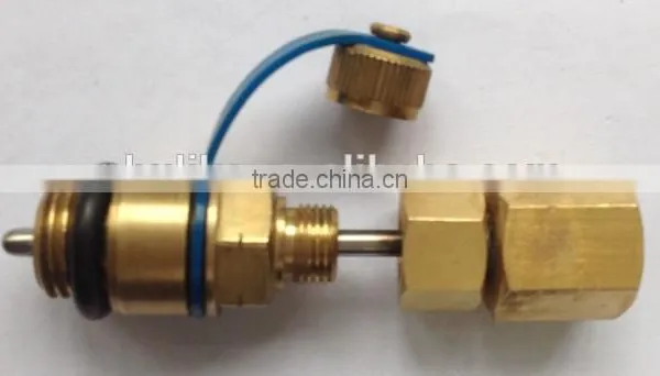 Pressure& Temperature Test Plugs for Gauges Accessories photo-3