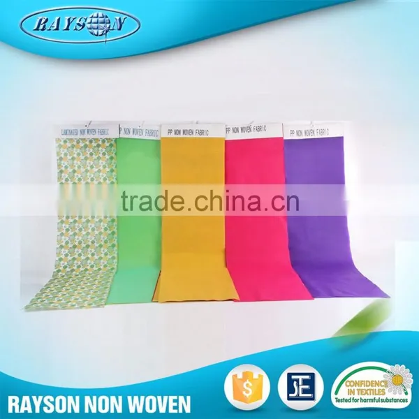 Best Quality Multifunctional Spunbond Polypropylene Fabric photo-2