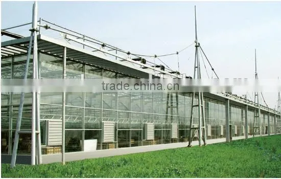 High Quality Giant Greenhouse,flower,plant House/large Inflatable Membrane Structures