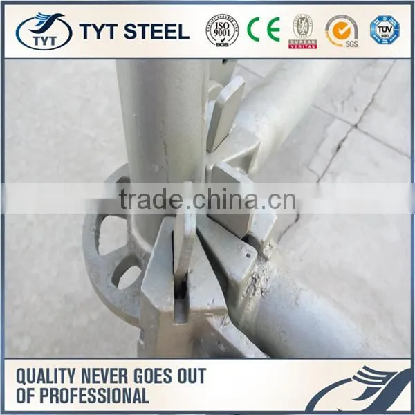 Professional Transom for Cuplock Scaffolding for Wholesales photo-4
