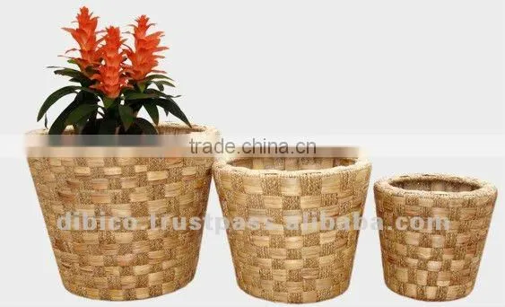 Flower Basket