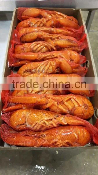 Frozen Cooked /frozen Raw Canadian Lobster photo-3
