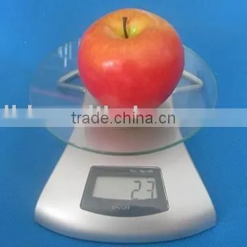 125080 PLASTIC KITCHEN SCALE