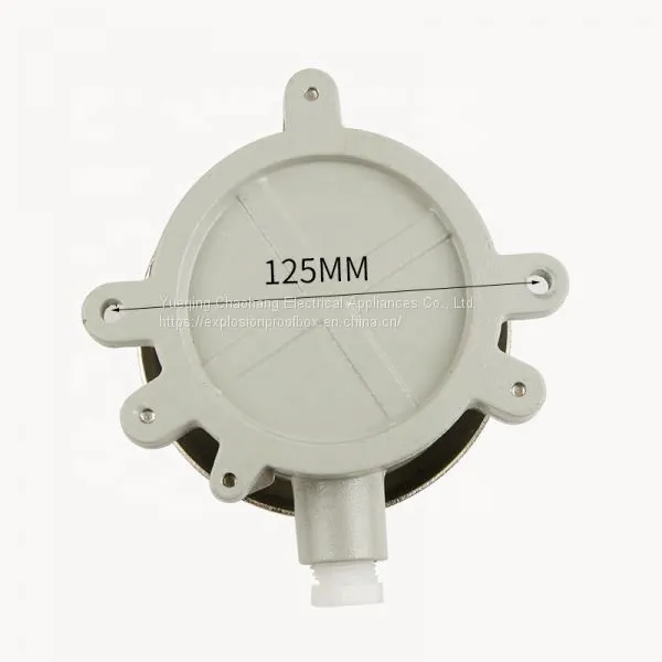 Explosion-proof Bell ExdIIBT6 ATEX Certificate Auxiliary Bell Explosion-proof Alarm Bell photo-2