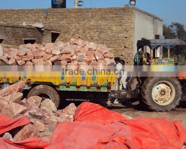 Himalayan Salt Lick - Animal Special photo-6