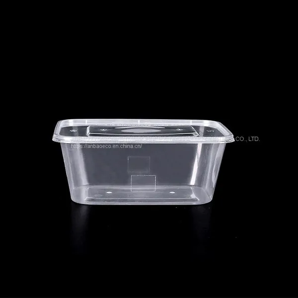 Disposable Food Container