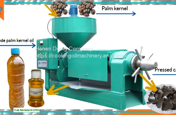 Good Feedback Palm Kernel Oil Making Machine Palm Kernel Oil Mill Plant Small Scale Palm Kernel Oil Crushing Machine