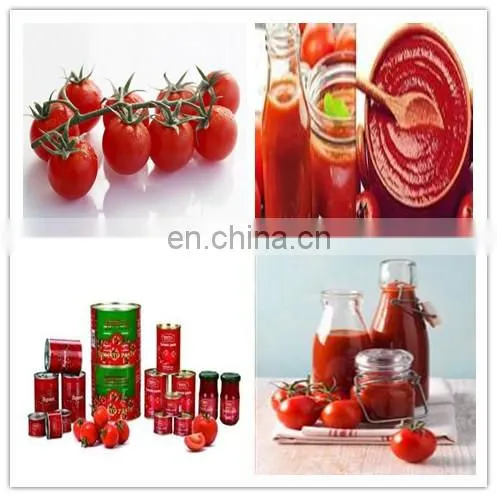 Factory Genyond Small Tomato Paste Ketchup Chill Pepper Sauce Fruit Jam Making Machine Production Line Processing Plant photo-3