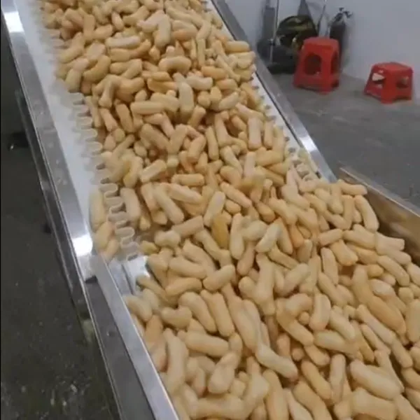 Yongtai Junyang | Rice Cake Strip Forming Machine | Automatic Production Line photo-3