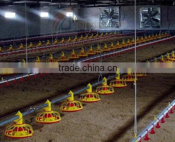 2016 Hottest Sale Chicken and Breeder Used Broiler Breeding Machine photo-5
