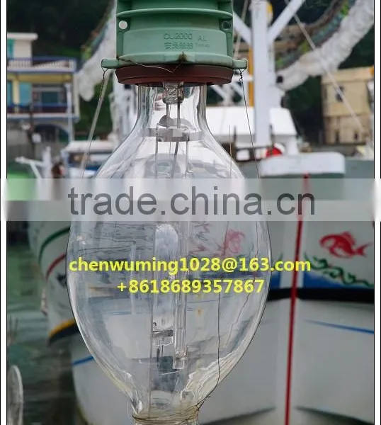 Fishing light 1000w with high quanlity