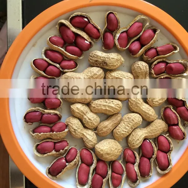 Peanut