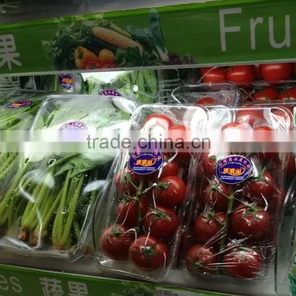 Vegetables Packaging Tray
