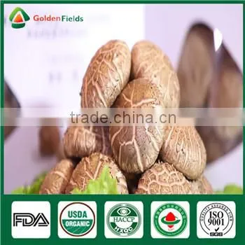 Edibal Mushroom Cultivation China Supplier Organic Fresh and Dried Shiitake Mushroom photo-4