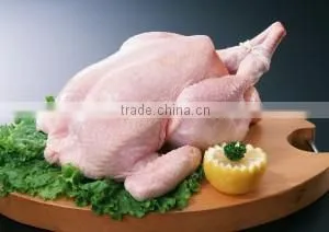 Whole Frozen Chicken Fresh and Halal