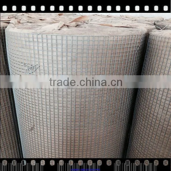 Green Pvc Coated Welded Wire Mesh 1/2 Inch photo-5