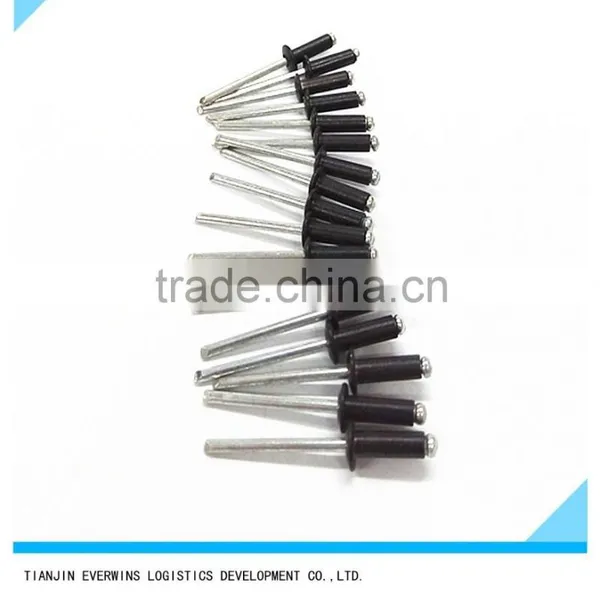 Black Color Blind Rivet photo-2