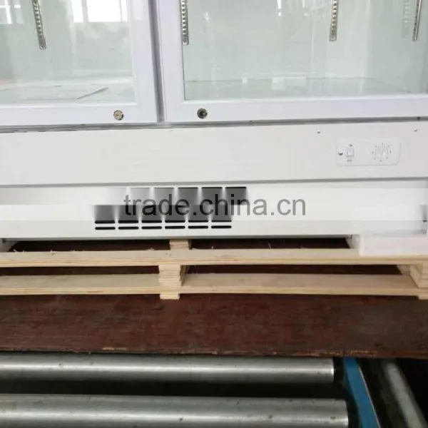 Double Door Commercial Display Refrigerator Showcase photo-4